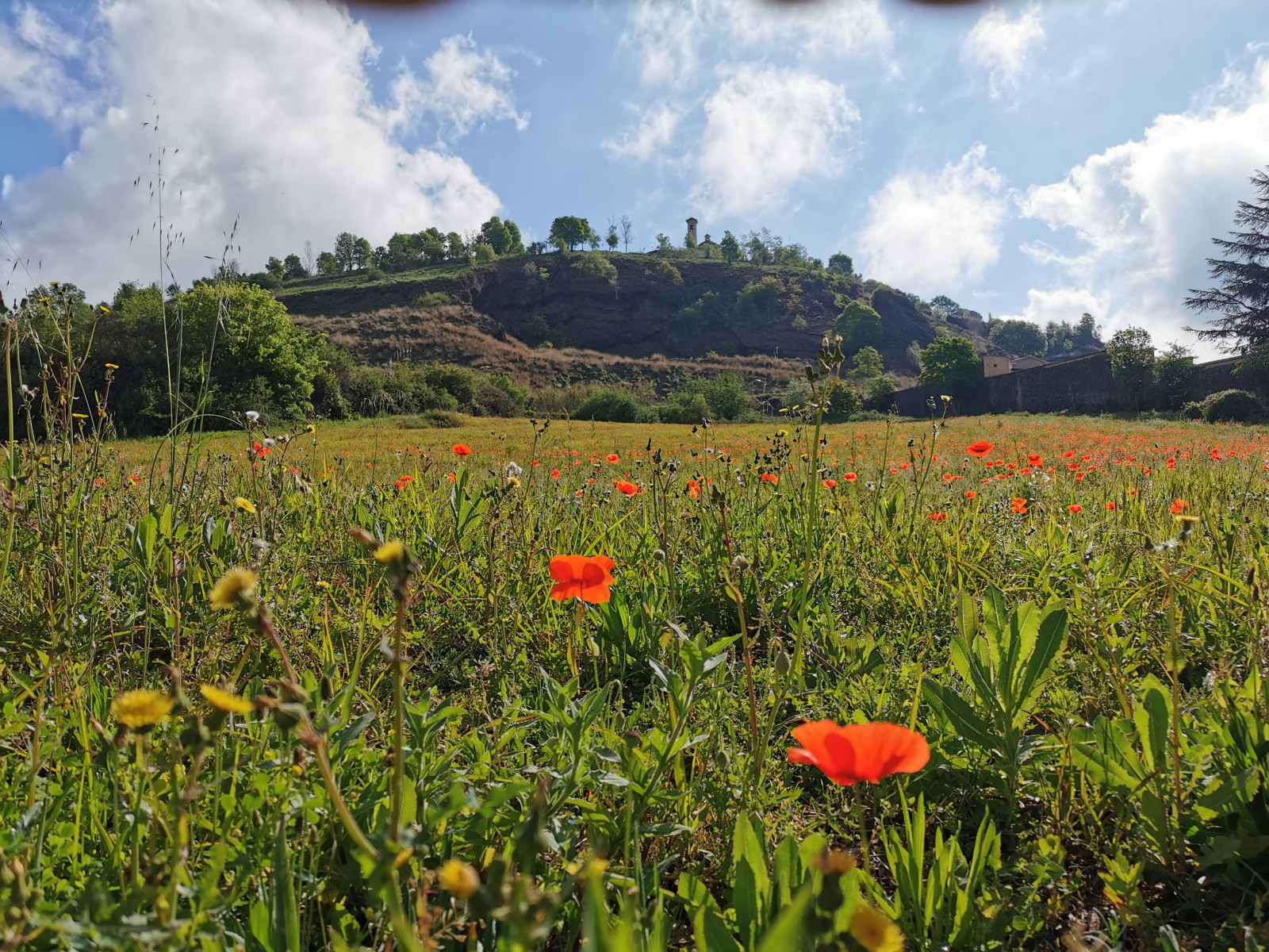 Volca Montsacopa_Primavera